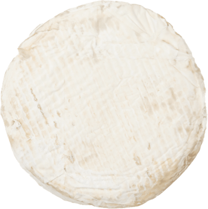 UMYUM Monroe cheese.