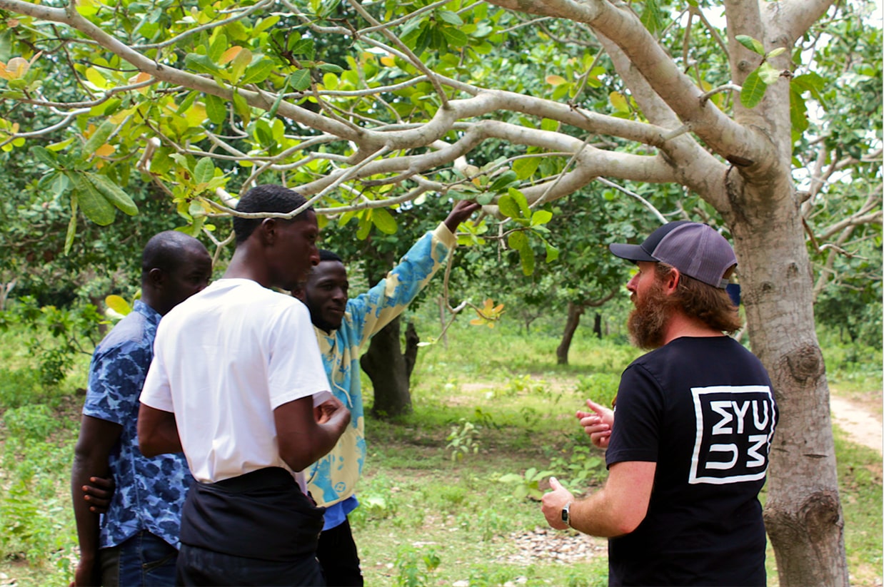 UMYUM team members speaking with local farmers in a cashew orchard.