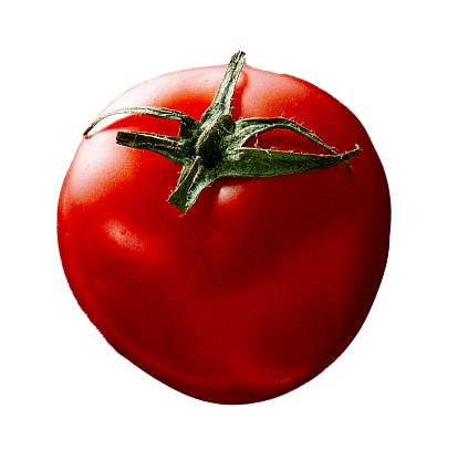 Tomato
