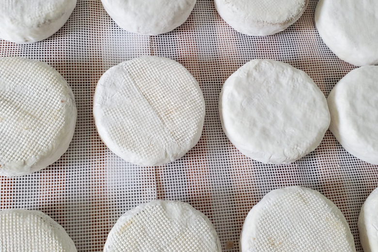 UMYUM plantbased cheese rounds in production.